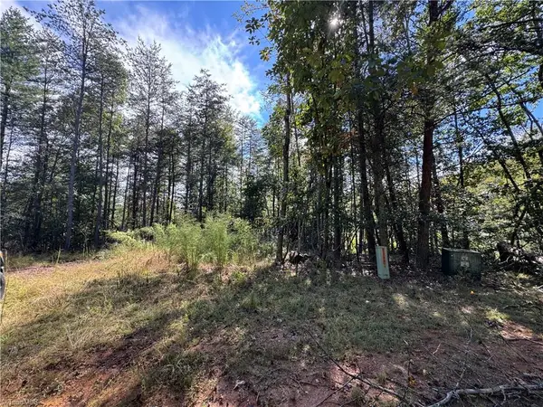 TBD Rainbow Trout Drive, Hays, NC 28635