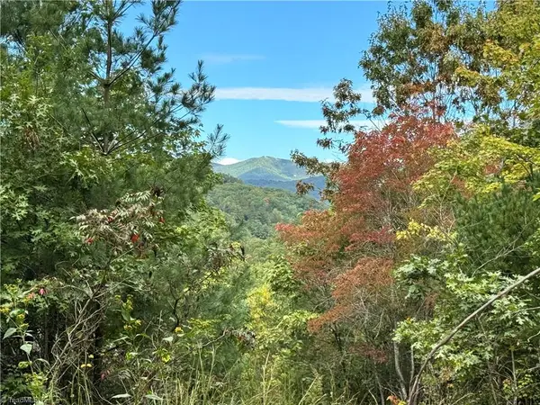 01 Cane Creek Church Road, McGrady, NC 28649