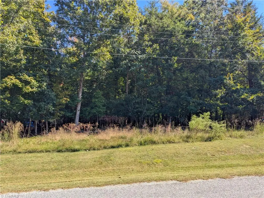 170 Spring Hollow Road, High Point, NC 27262 - #1