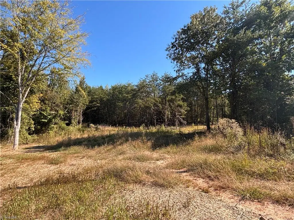 103 Dalton Loop, Stoneville, NC 27048 - #1