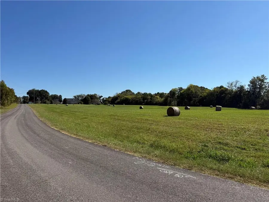 00 Brantley Farm Road, Mocksville, NC 27028 - #3