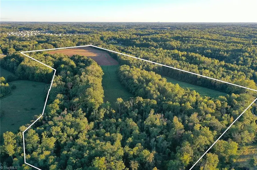 61.8 Acres Spearman Road, Reidsville, NC 27320 - #3