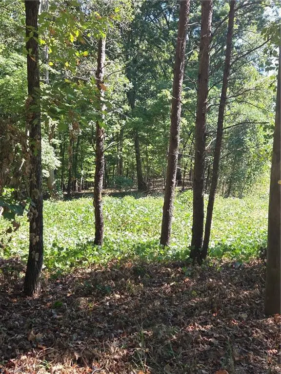 1075 Augusta Hicks Road, Walnut Cove, NC 27052 - #1