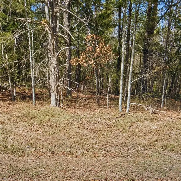 Lt 11 Lynn Smith Road, Semora, NC 27343