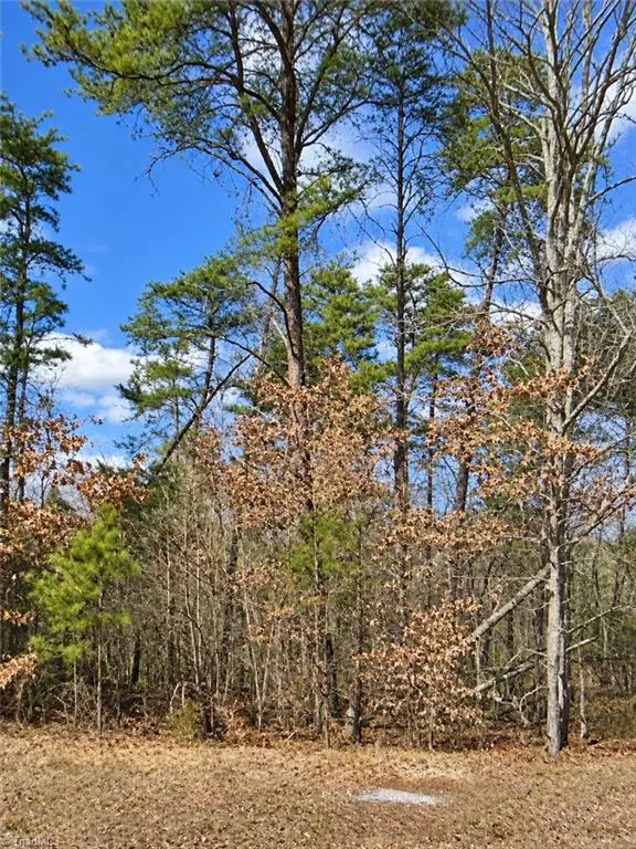 Lt 11 Lynn Smith Road, Semora, NC 27343 - #2