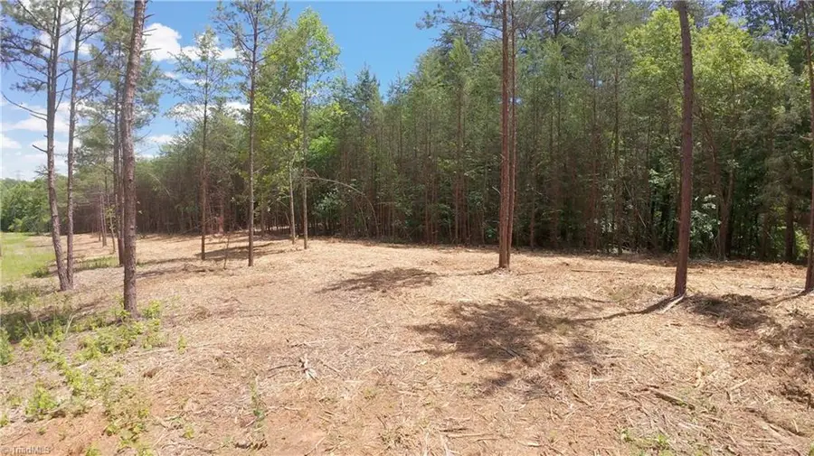 1734 Shiloh Church Road, Rural Hall, NC 27045 - #2