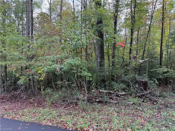 0 Kizer Street, Mount Airy, NC 27030