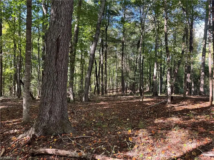 00 One Mile Road, Hays, NC 28635 - #2