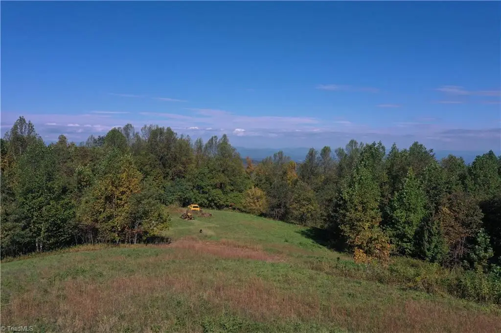 000 Treadway Road, Moravian Falls, NC 28654 - #1