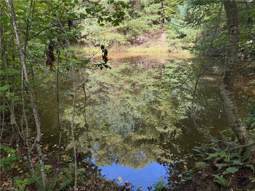 TBD Casey Mountain Road, Purlear, NC 28665 - #1