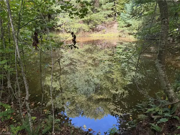 TBD Casey Mountain Road, Purlear, NC 28665