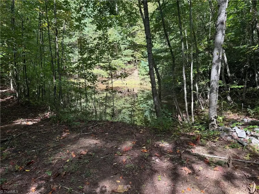 TBD Casey Mountain Road, Purlear, NC 28665 - #3