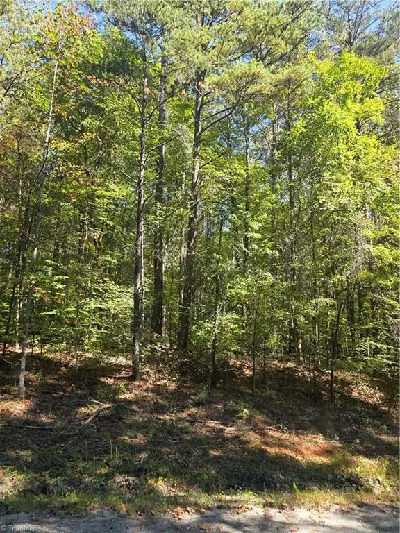 00 Power Dam Road, Walnut Cove, NC 27052 - #1
