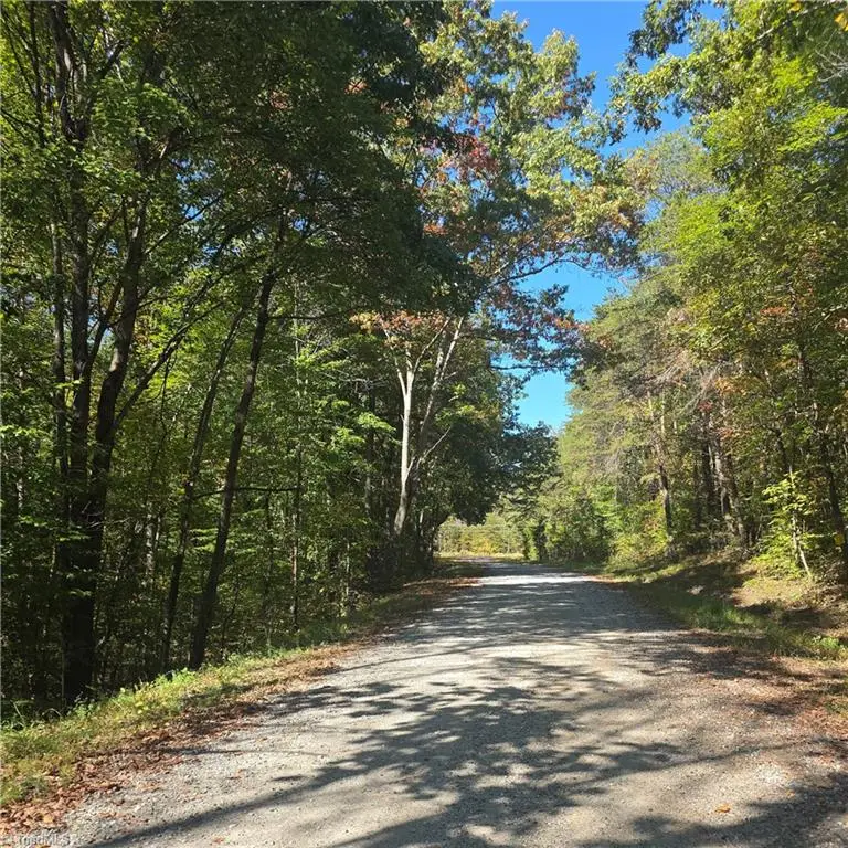 00 Power Dam Road, Walnut Cove, NC 27052 - #2