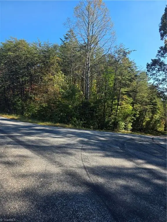 00 Power Dam Road, Walnut Cove, NC 27052 - #3