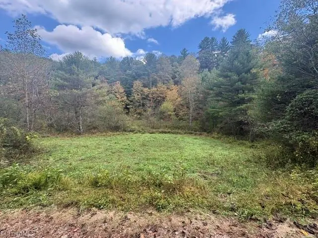 TBD Caseys Branch Road, Purlear, NC 28665 - #1