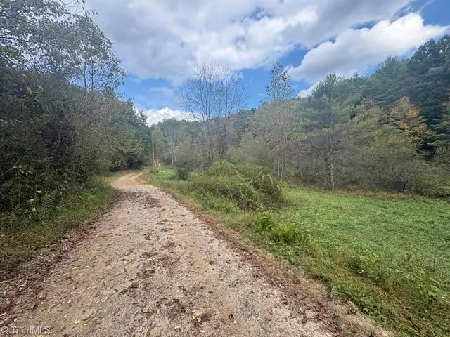 TBD Caseys Branch Road, Purlear, NC 28665 - #2