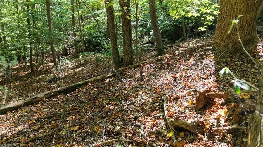TBD Woodland Drive, Elkin, NC 28621 - #3