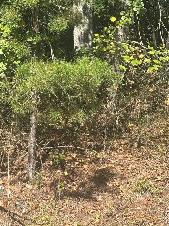 Lot 6 Saint Andrews Drive, North Wilkesboro, NC 28659