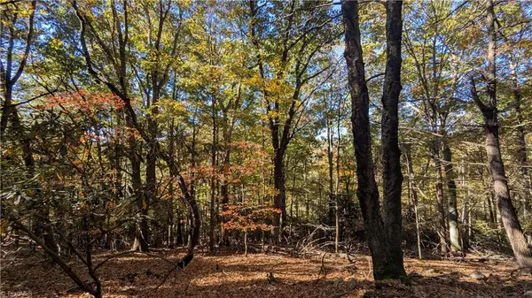 000 Nc Highway 16 S, Jefferson, NC 28640