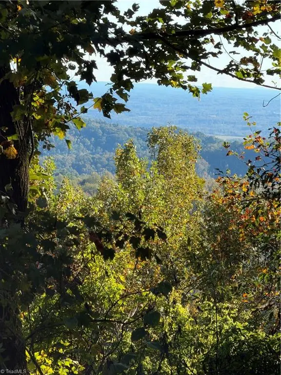 TBD Vannoy Ridge Road, Moravian Falls, NC 28654 - #2