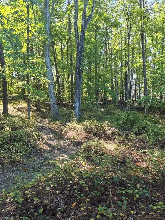 1225 Perch Road, Pinnacle, NC 27043 - #2