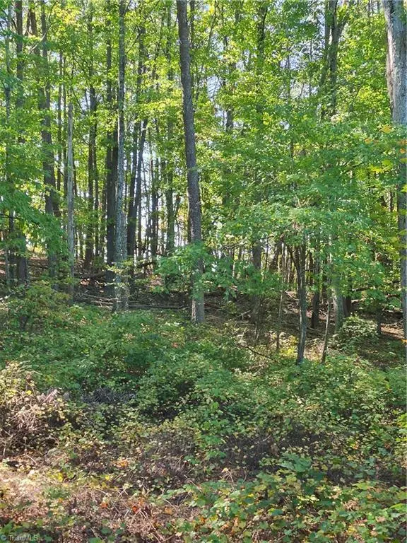 1225 Perch Road, Pinnacle, NC 27043 - #3