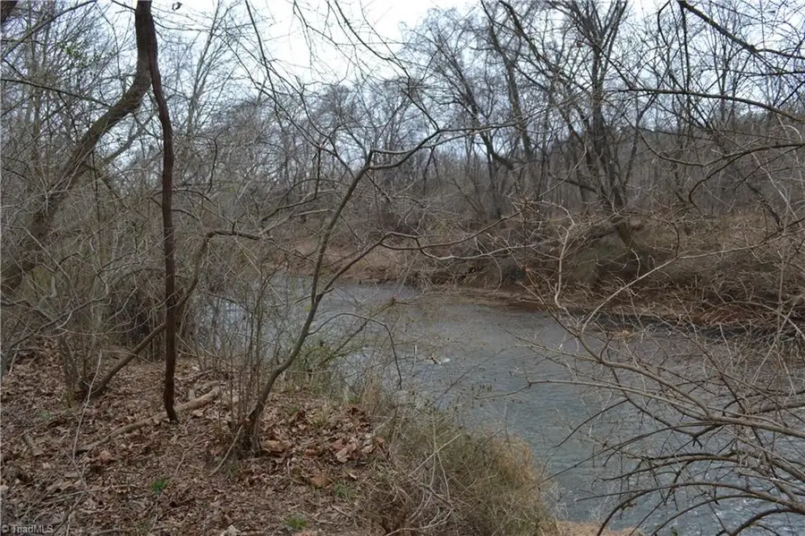 17 Acres Davie Lane, Madison, NC 27025 - #3