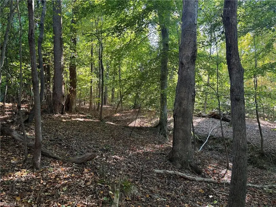 Lot 8 Hidden Creek Lane, Reidsville, NC 27320 - #2