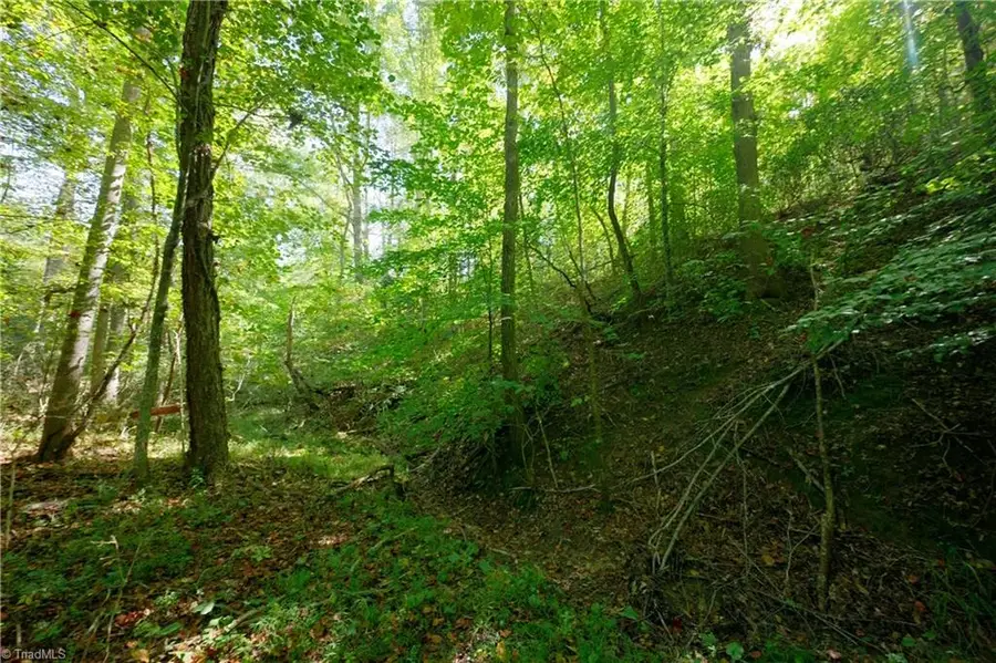 12 Morrison Road, Morganton, NC 28655 - #3