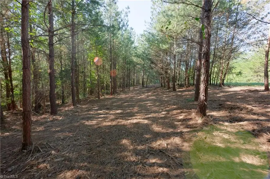 13 Morrison Road, Morganton, NC 28655 - #2