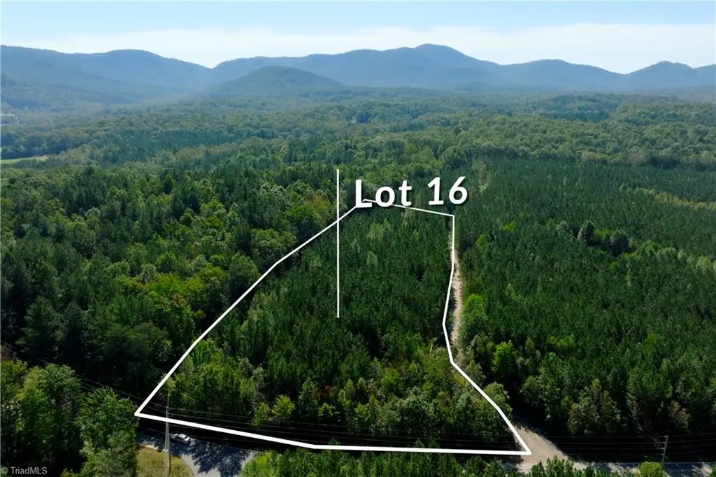 16 Morrison Road, Morganton, NC 28655 - #1