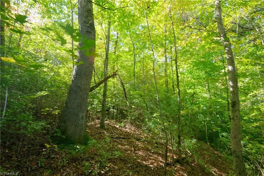 17 Morrison Road, Morganton, NC 28655 - #2