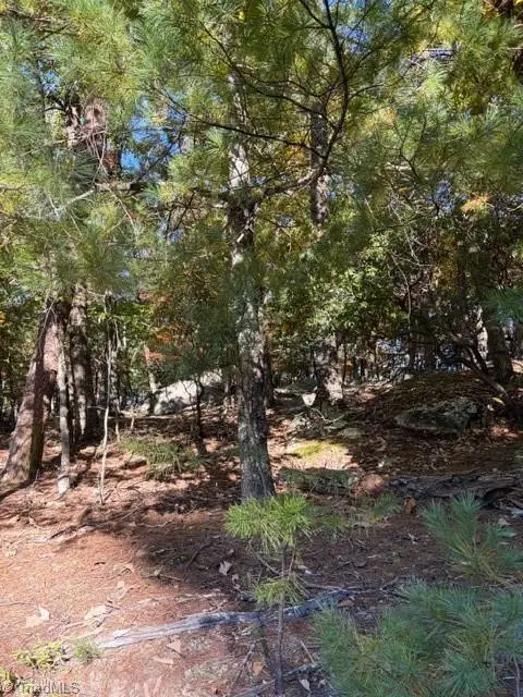 TBD Greenstreet Drive, Traphill, NC 28685 - #3