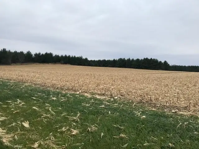 TBD Island Estates (site12) Dr Nw, Pine Island, MN 55963 - #2