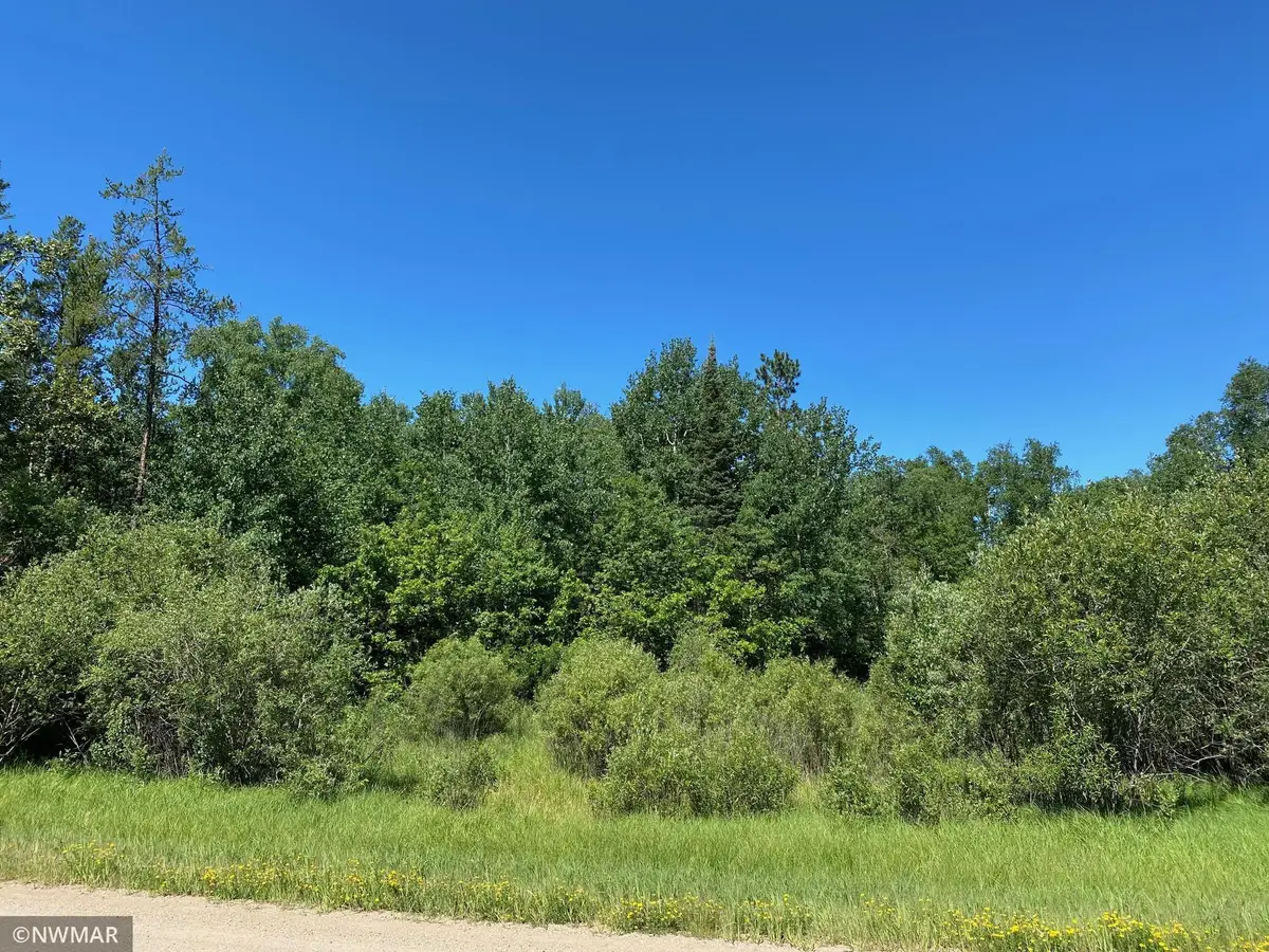 TBD (L11,B2) Grant Hills Road Sw, Bemidji, MN 56601 - Image #1