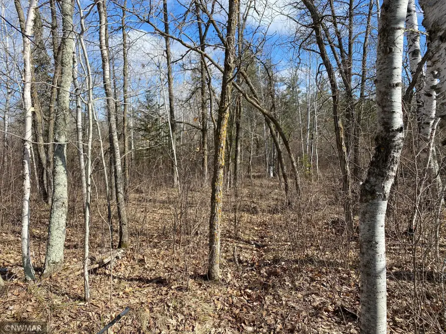 TBD (L11,B2) Grant Hills Road Sw, Bemidji, MN 56601 - Image #2