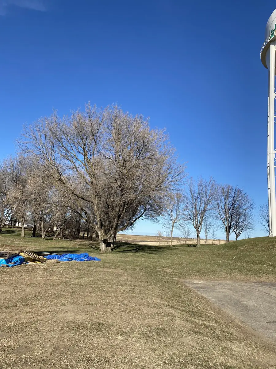 1970 Norway Avenue, Windom, MN 56101 - Image #2