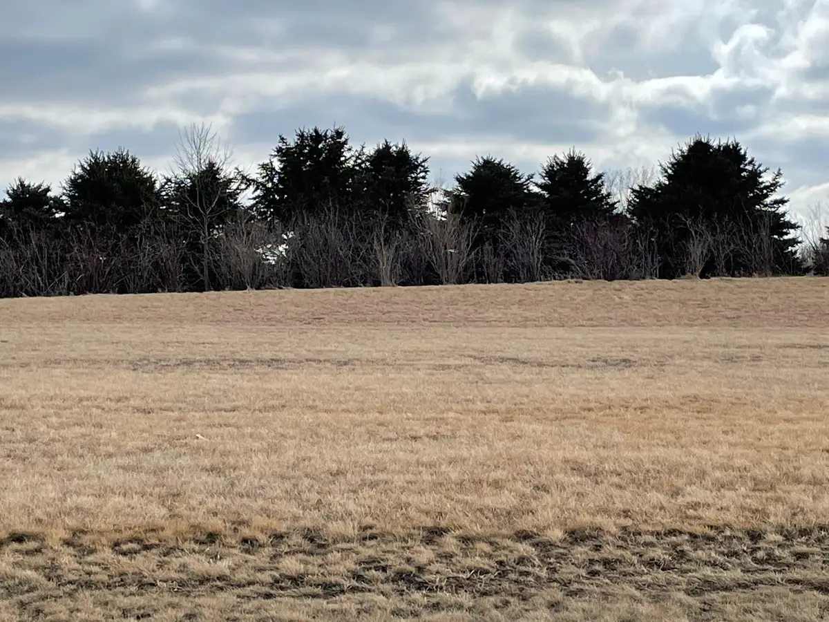 531 Hillcrest Street, Edgerton, MN 56128 - #1