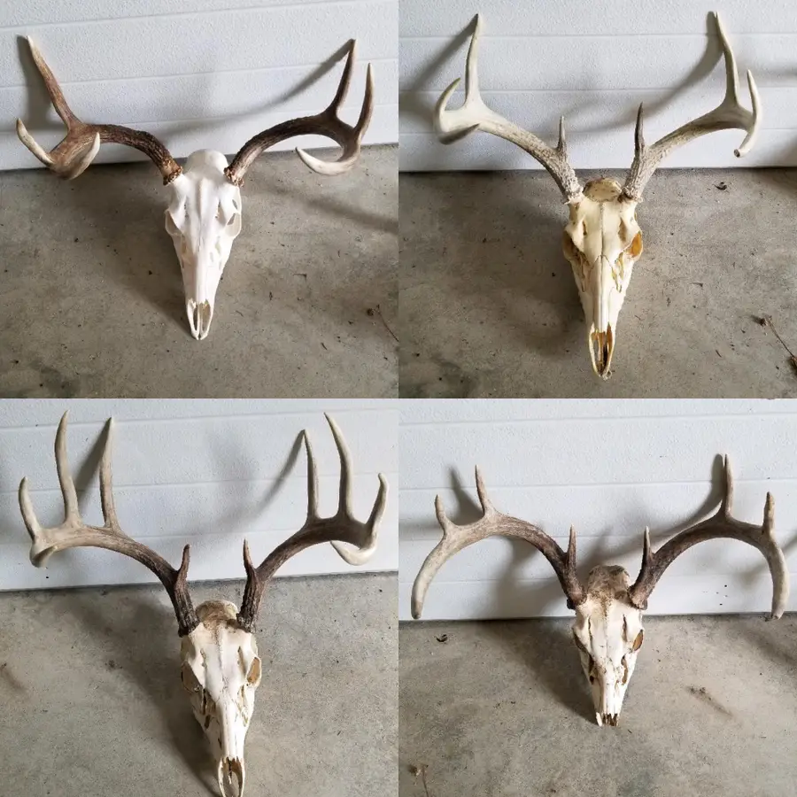 TBD State Hwy 172 Cliff, Baudette, MN 56623 - #3