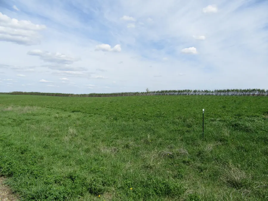 11 Royal Oaks Road, Garvin, MN 56132 - #3