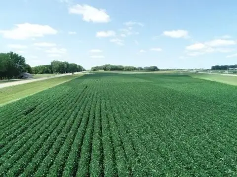 xxx Airport Road, Hutchinson, MN 55350 - #3