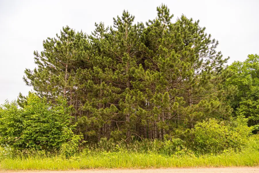 Block 1, Lot 2 Mid-river Estates, Pine City, MN 55063 - Image #3