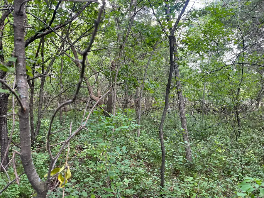 23xxx 182nd Street, Big Lake, MN 55309 - Image #3