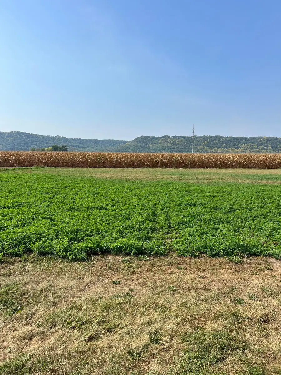 1510 River Drive S, Wabasha, MN 55981 - #3