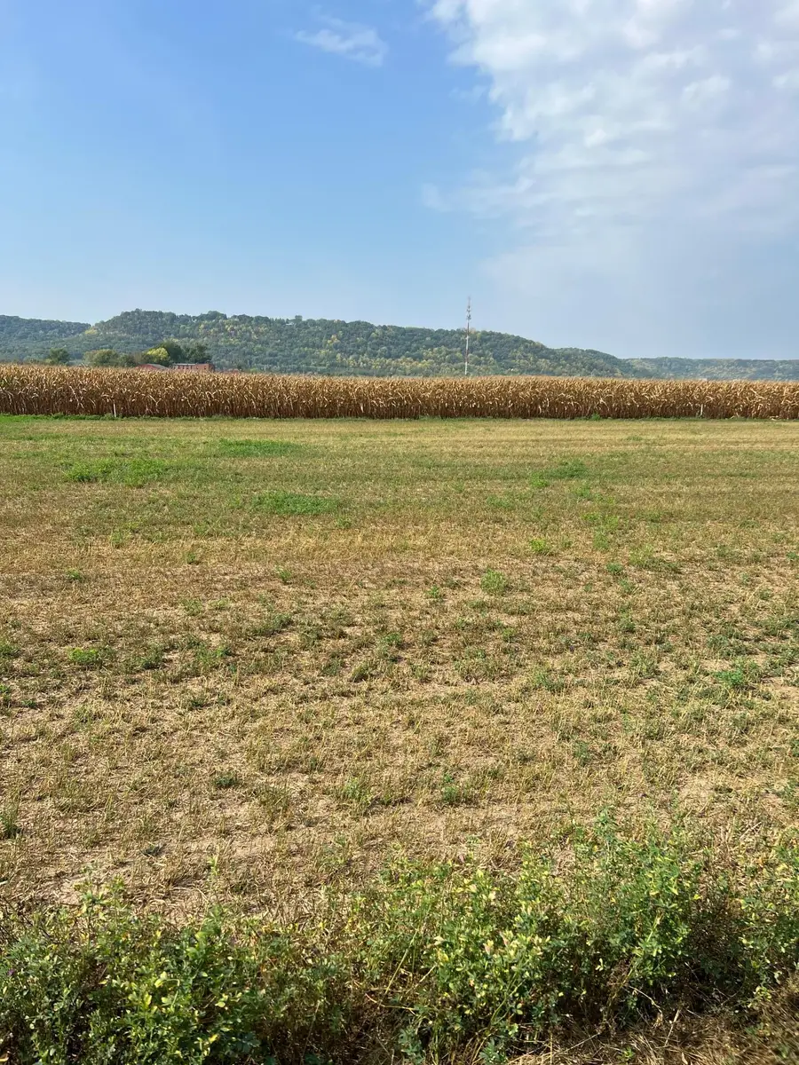 1512 River Drive S, Wabasha, MN 55981 - #2