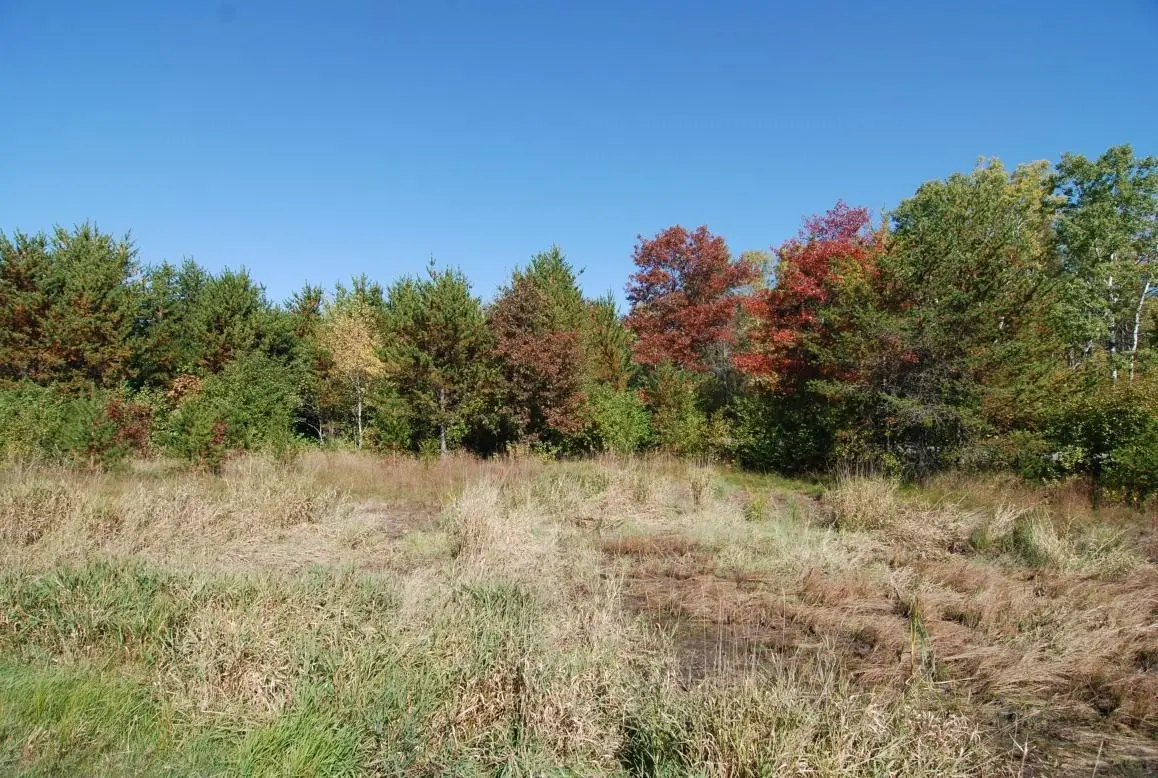 L12, B1 Meadow Court, Baxter, MN 56425 - #1