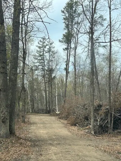 xxx Aztec Rd, Motley, MN 56466 - Image #2