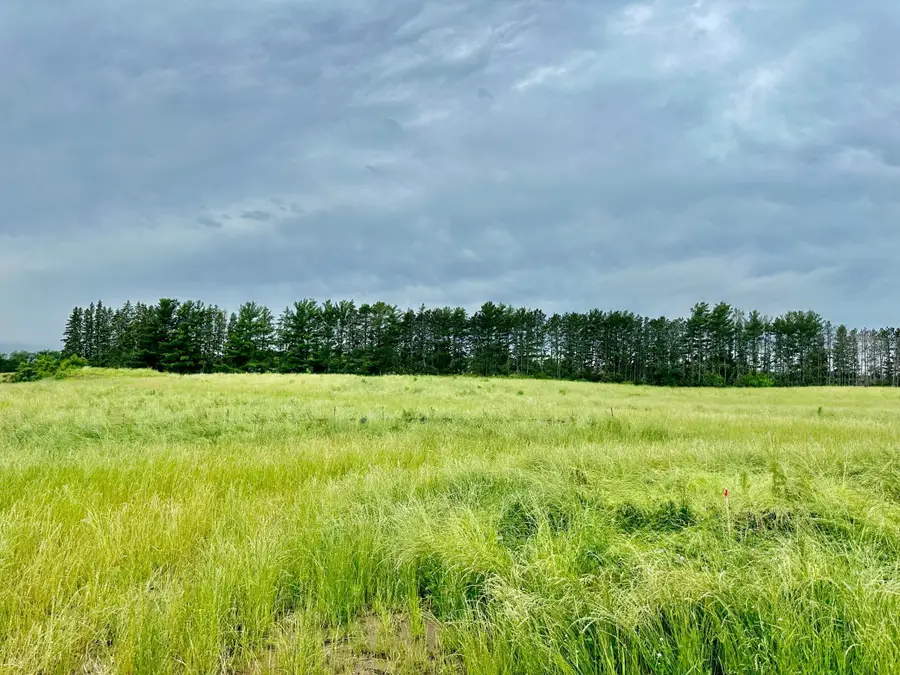 2535 Pioneer Trail, Medina, MN 55340 - Image #3