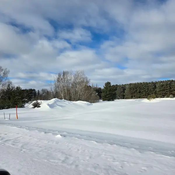 XXX1 Gregory, Hillman, MN 56338